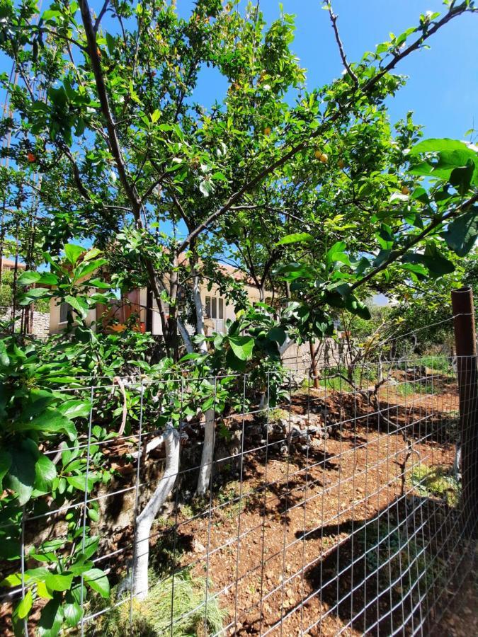 Villa Ardiano كساميل المظهر الخارجي الصورة